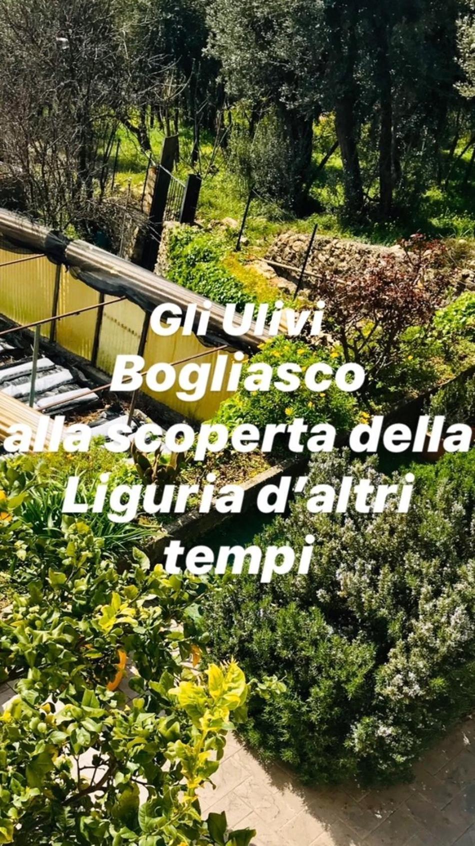 Cav Gli Ulivi Di Bogliasco Villa Ngoại thất bức ảnh